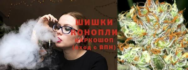 крисы Верхний Тагил