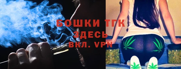 крисы Верхний Тагил